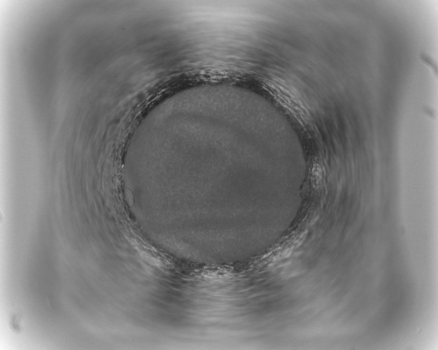 X0000093740865200710301103