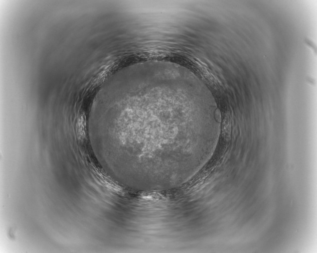 X0000093740866200710301103