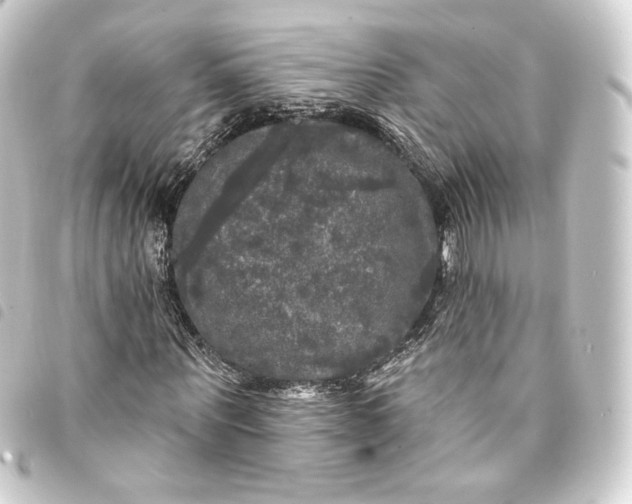 X0000093740867200710301103