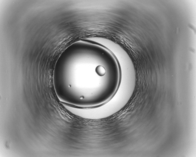 X0000093740868200710301103