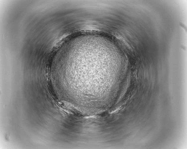 X0000093740870200710301103