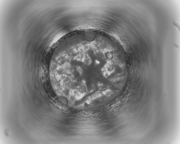 X0000093740871200710301103