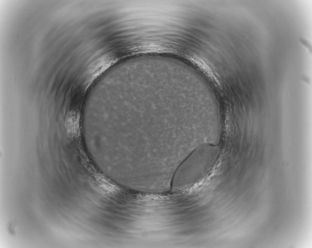 X0000093740873200710301102