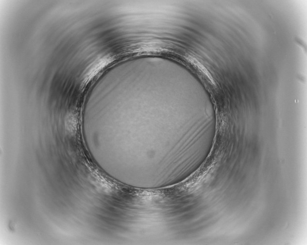 X0000093740874200710301102