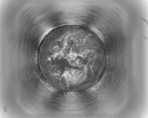 X0000093740875200710301102