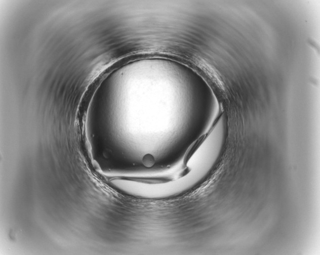 X0000093740876200710301102