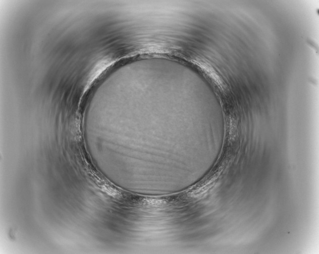 X0000093740878200710301102