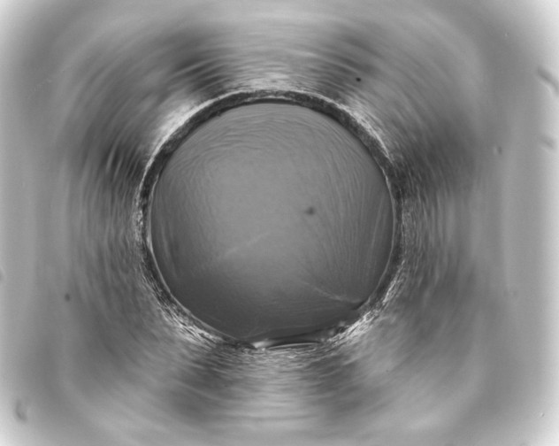 X0000093740879200710301102