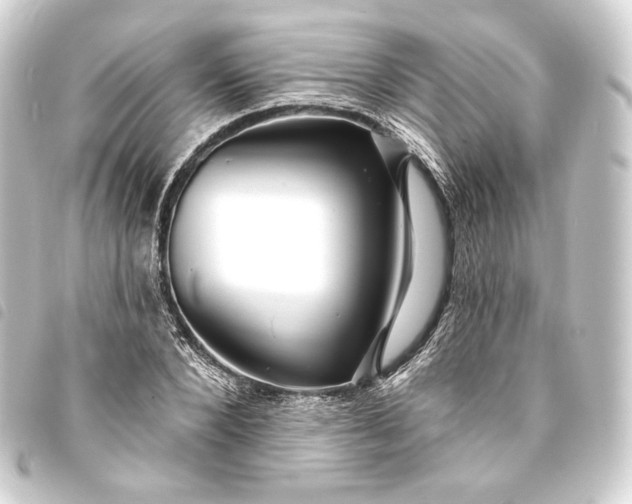 X0000093740880200710301102