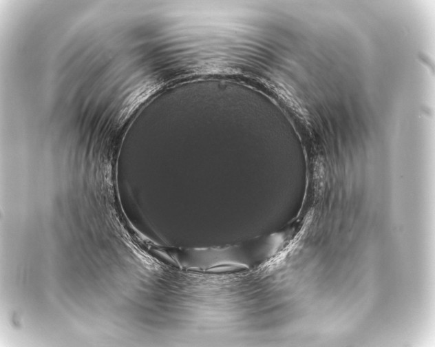 X0000093740881200710301102