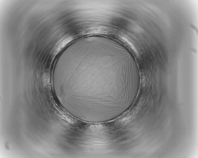 X0000093740882200710301102