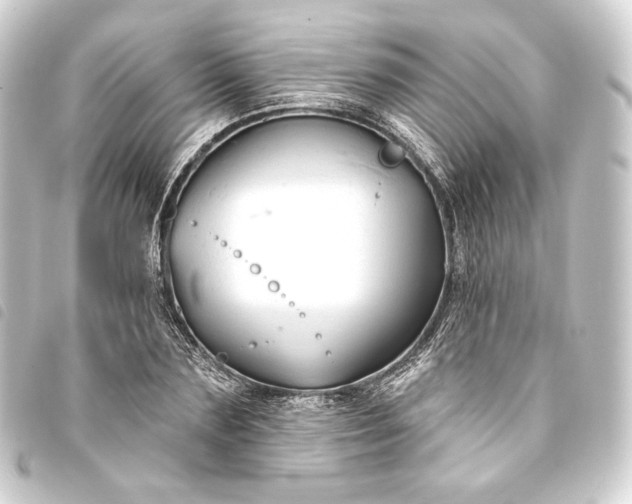 X0000093740883200710301102