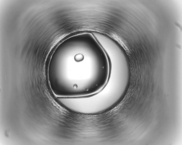 X0000093740884200710301102