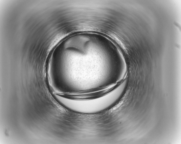 X0000093740885200710301102