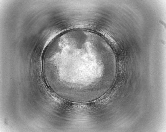 X0000093740886200710301102