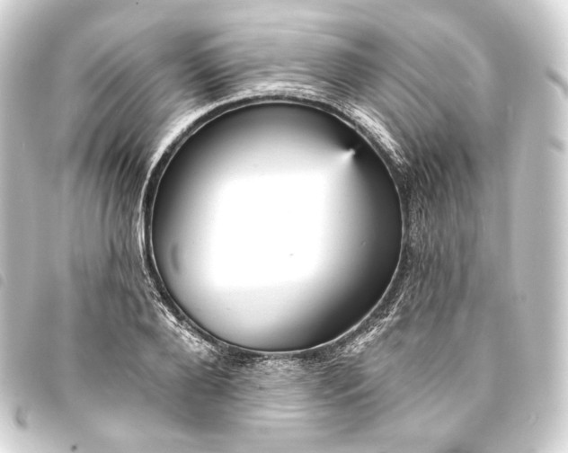 X0000093740888200710301102