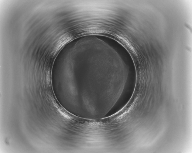 X0000093740889200710301102