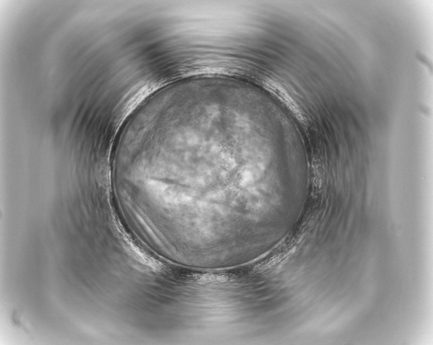 X0000093740890200710301102