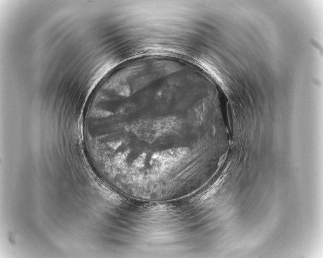 X0000093740891200710301102