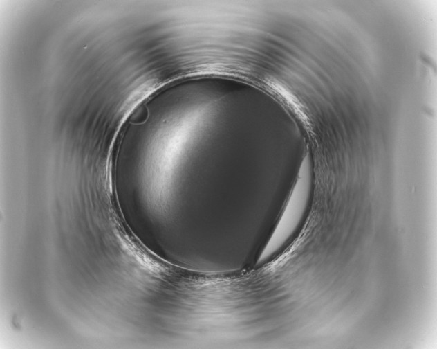 X0000093740892200710301102