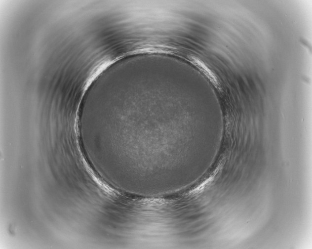 X0000093740893200710301102