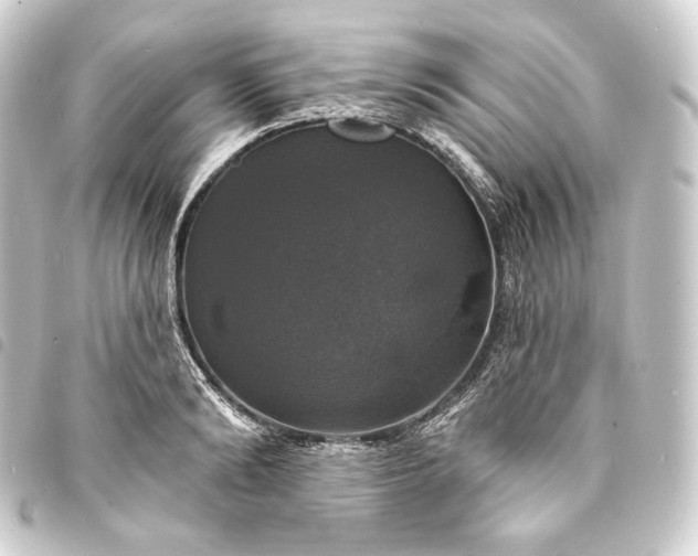 X0000093740894200710301102