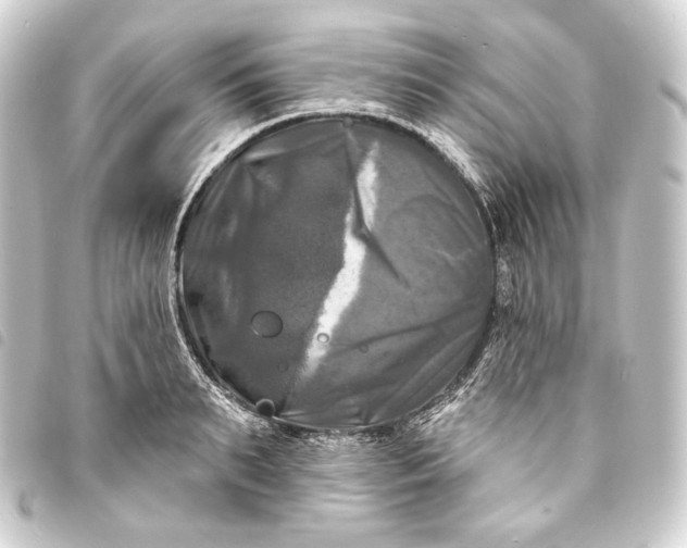 X0000093740895200710301102