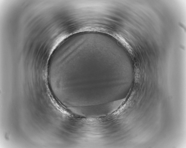 X0000093740896200710301102