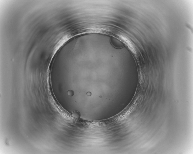 X0000093740899200710301102