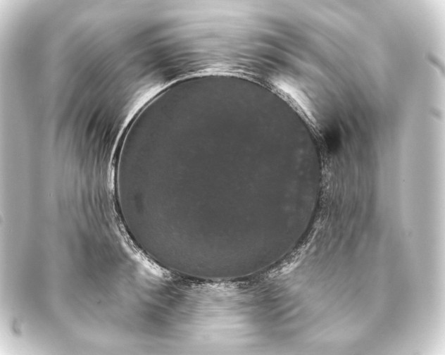 X0000093740900200710301102