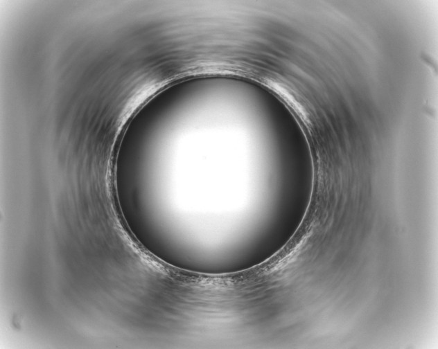 X0000093740901200710301102