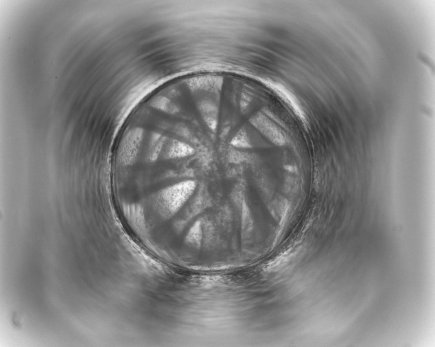 X0000093740903200710301102