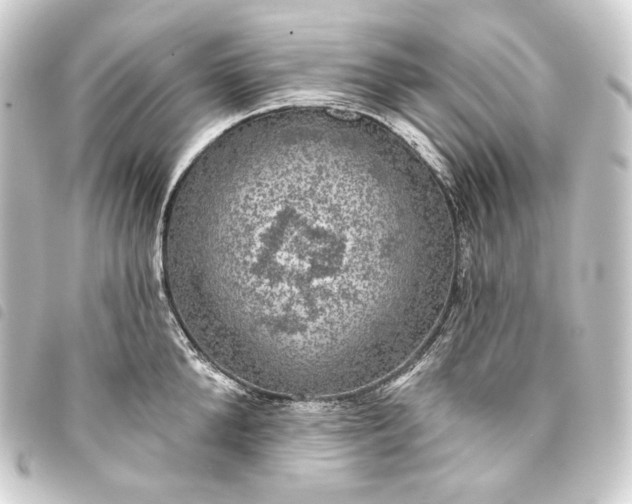 X0000093740904200710301102