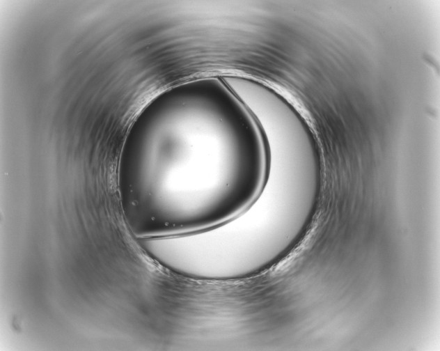 X0000093740905200710301102