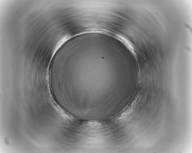 X0000093740907200710301102