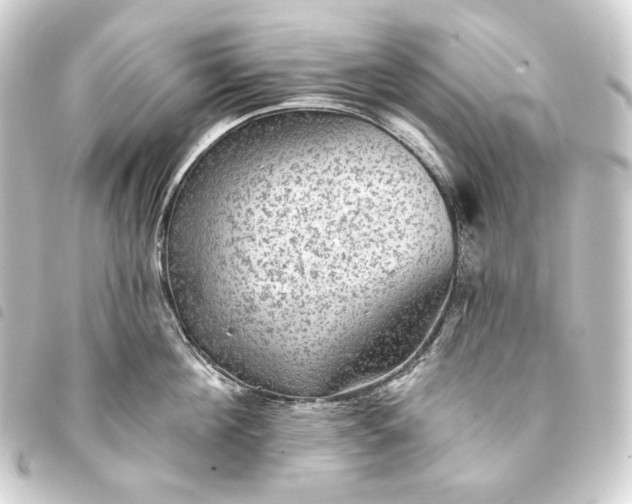 X0000093740908200710301102