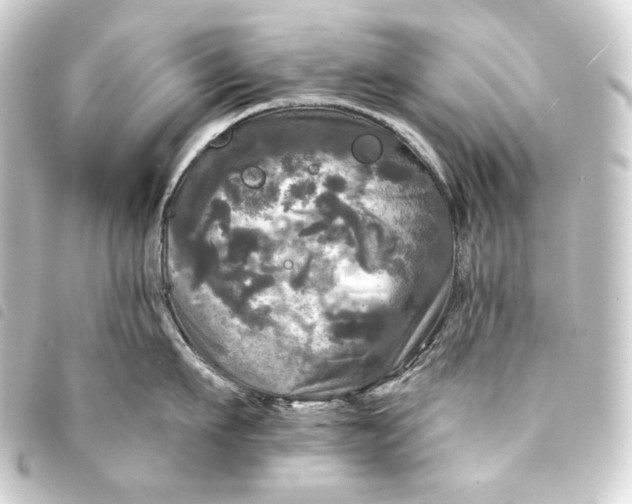 X0000093740911200710301102