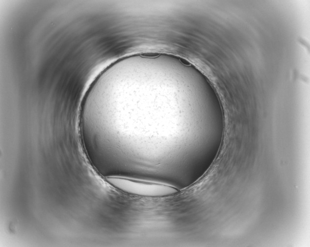 X0000093740912200710301102