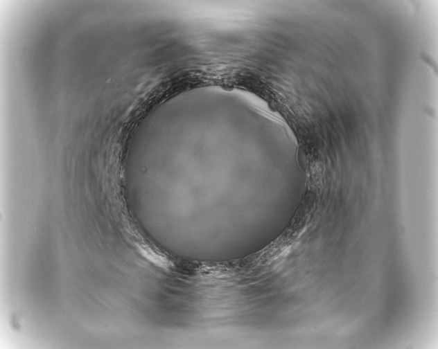 X0000093740913200710301101