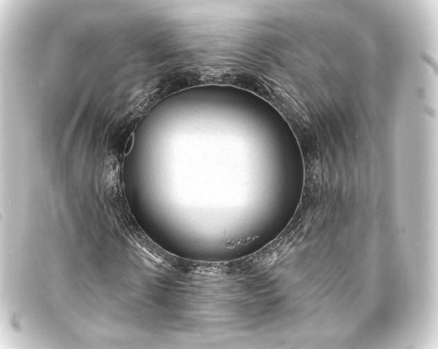 X0000093740914200710301101