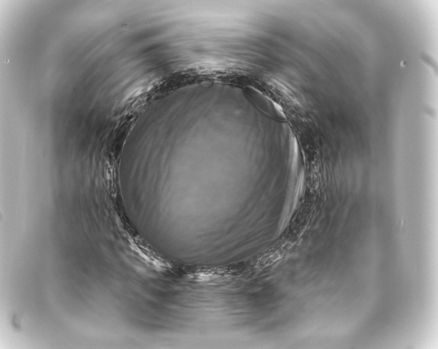 X0000093740917200710301101