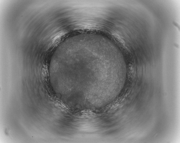 X0000093740918200710301101