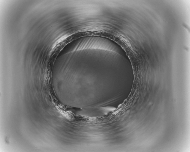 X0000093740920200710301101