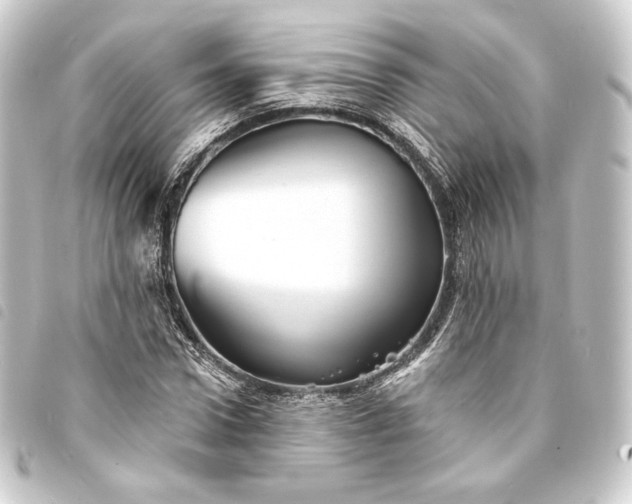 X0000093740922200710301101