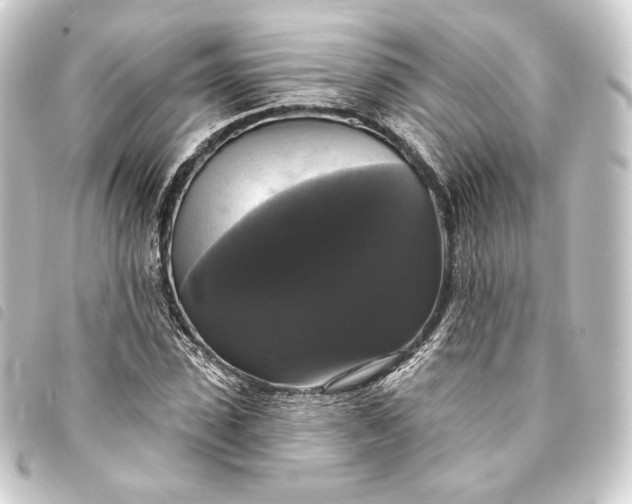 X0000093740923200710301101