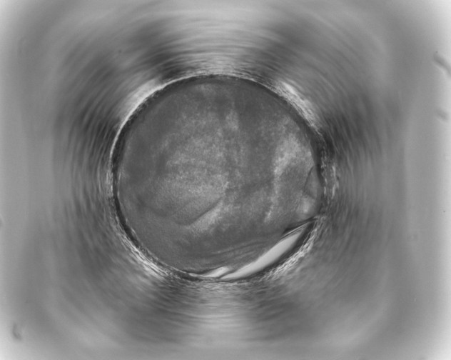 X0000093740924200710301101