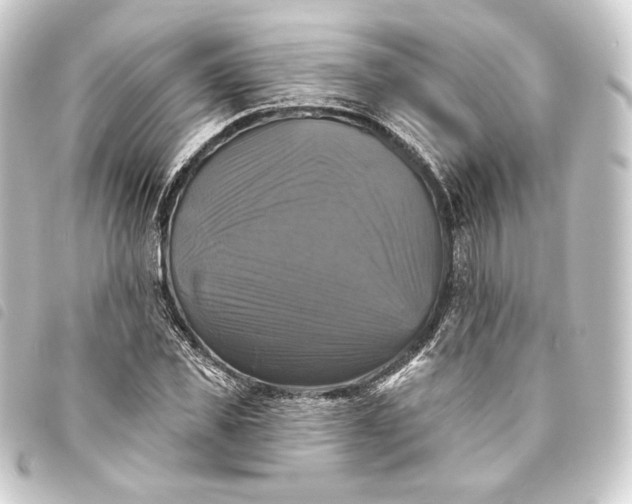 X0000093740925200710301101