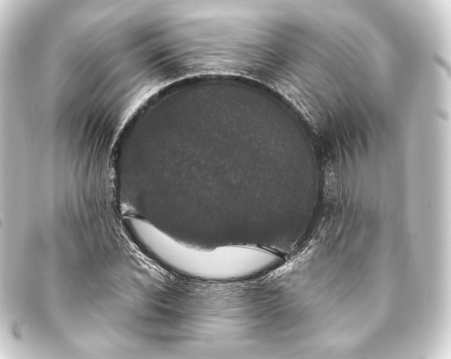 X0000093740926200710301101