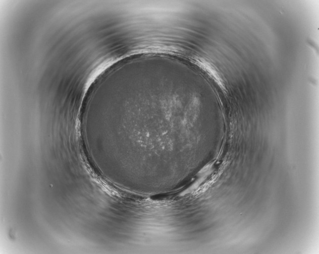 X0000093740928200710301101