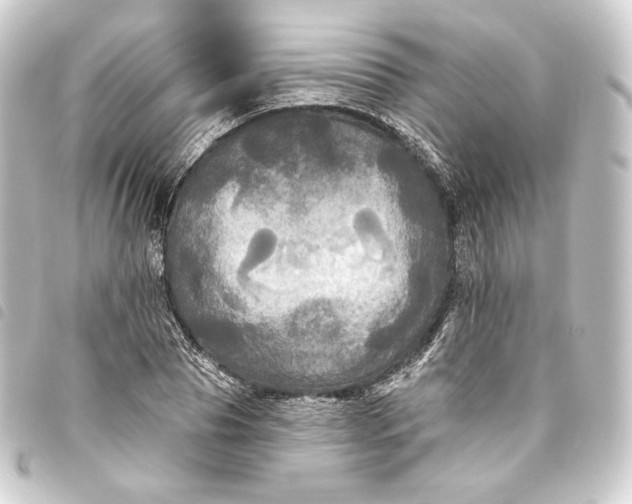 X0000093740929200710301101